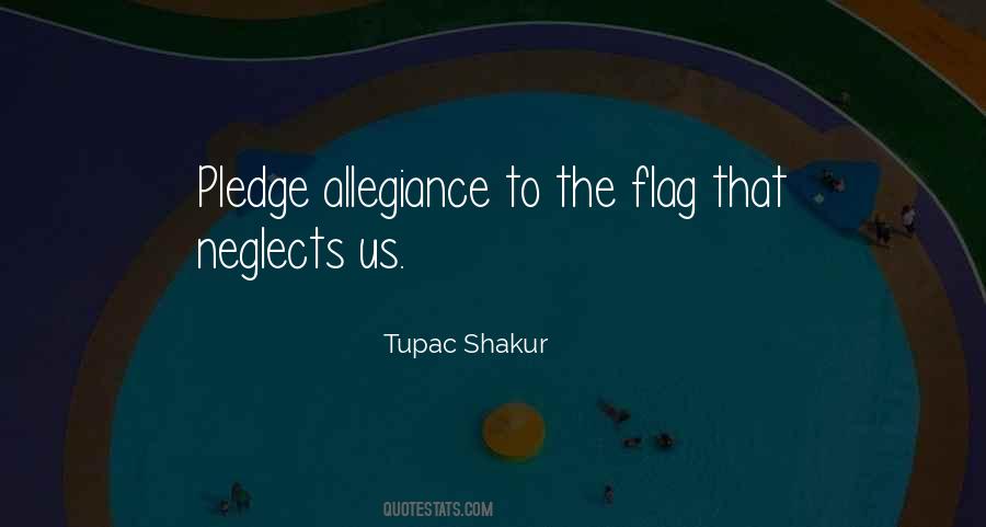 I Pledge Allegiance Quotes #880980