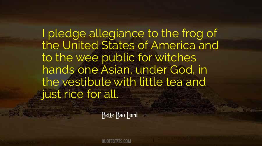 I Pledge Allegiance Quotes #924083