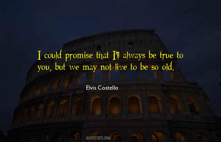 I Promise To Be True To You Quotes #395454