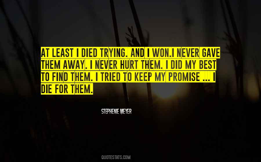 I Promise To Never Hurt You Quotes #1813075