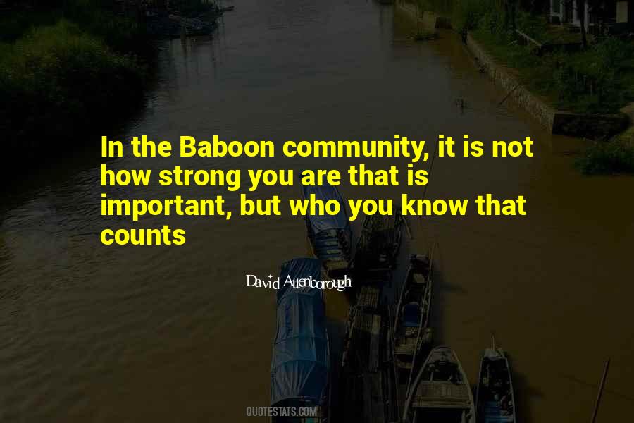 I R Baboon Quotes #852643