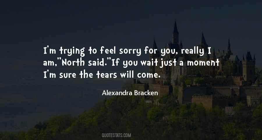 Quotes About Feel Sorry #1731511