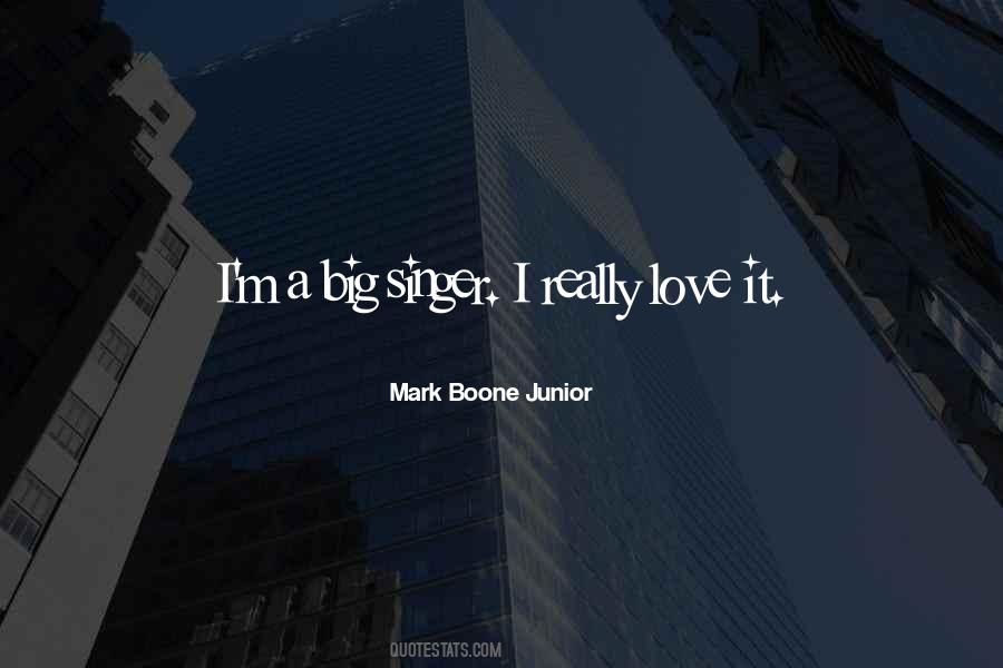 I Really Love It Quotes #564336
