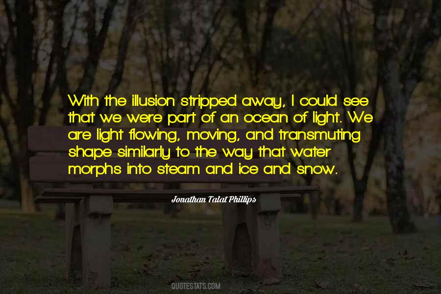 I See Light Quotes #249907