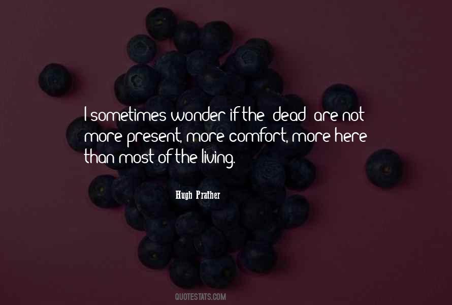 I Sometimes Wonder Quotes #570904