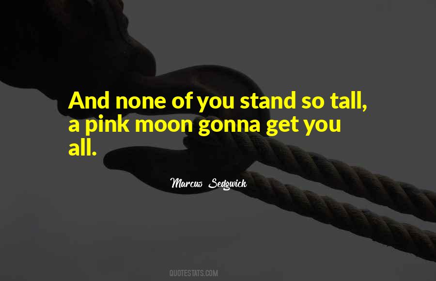 I Stand Tall Quotes #75945