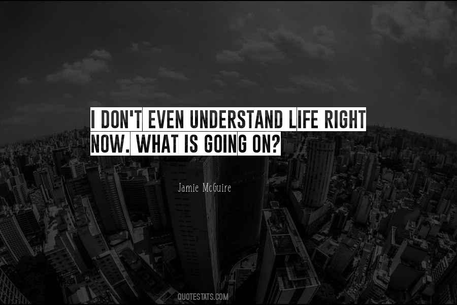 I Understand Life Quotes #920