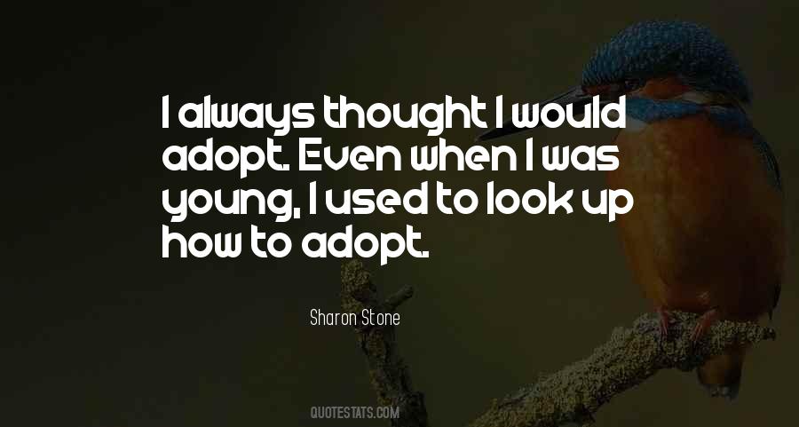 I Used To Look Up To You Quotes #95614