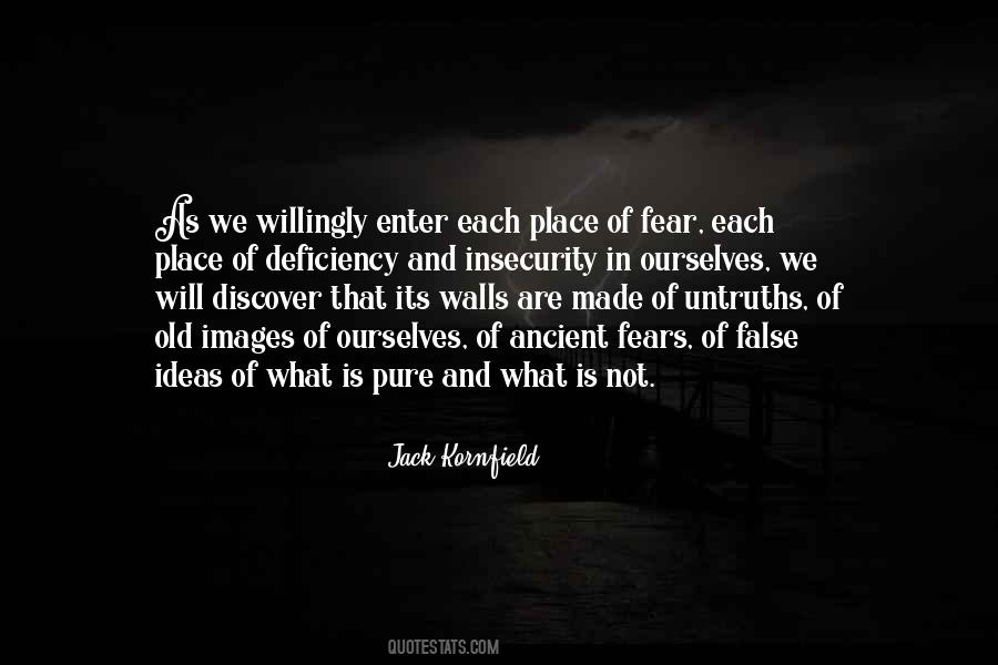 Quotes About Fear And Insecurity #112865