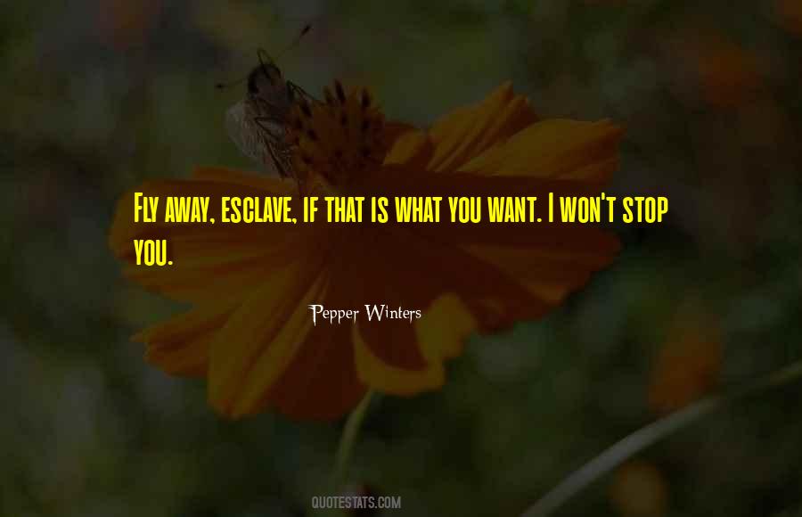 I Want To Fly Away Quotes #106653