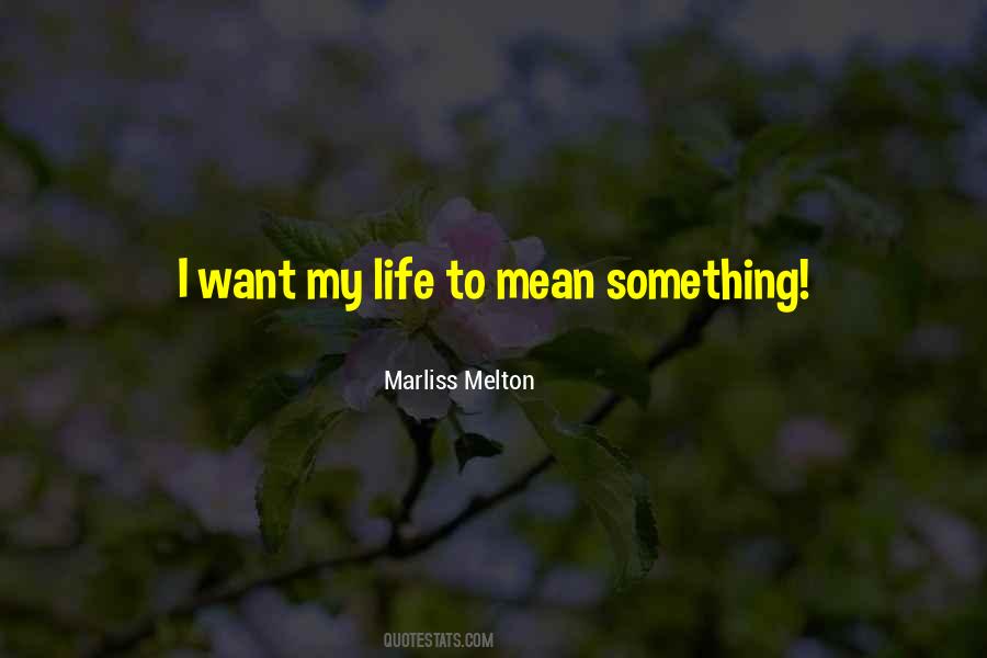 I Want To Mean Something Quotes #941328