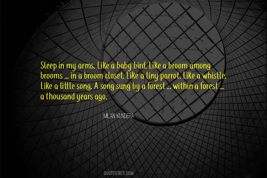 I Want To Sleep In Your Arms Quotes #382841