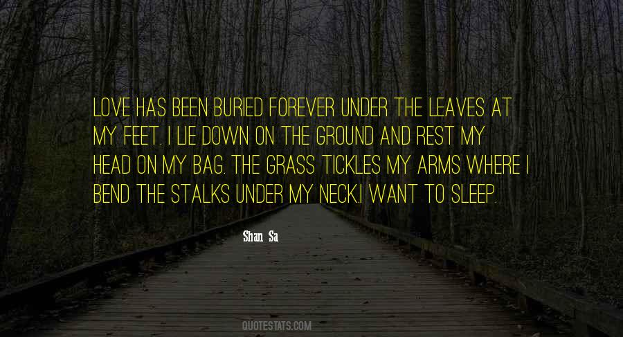 I Want To Sleep In Your Arms Quotes #701549