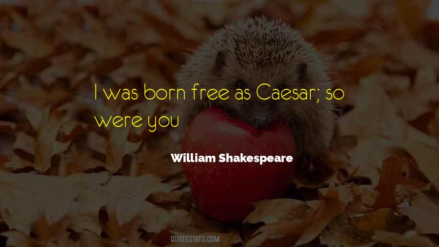 I Was Born Free Quotes #1532419
