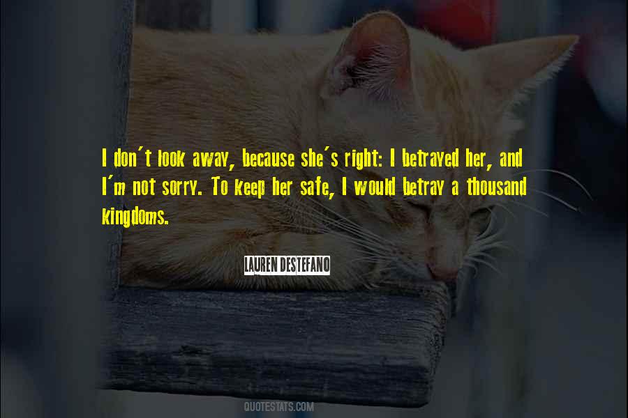 I Will Keep You Safe Quotes #261499