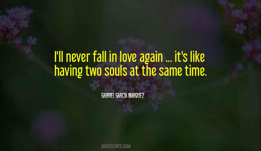 I Will Never Fall In Love Again Quotes #1398296