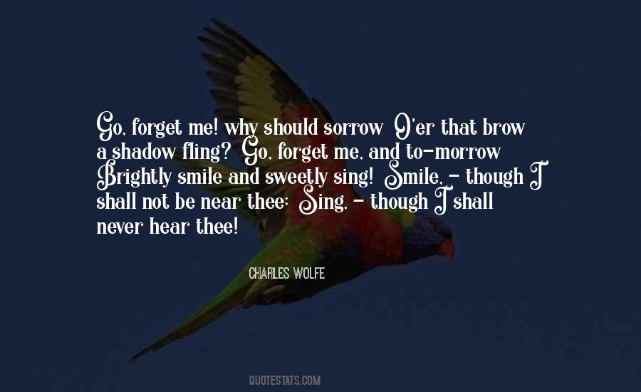 I Will Never Forget Your Smile Quotes #1690580