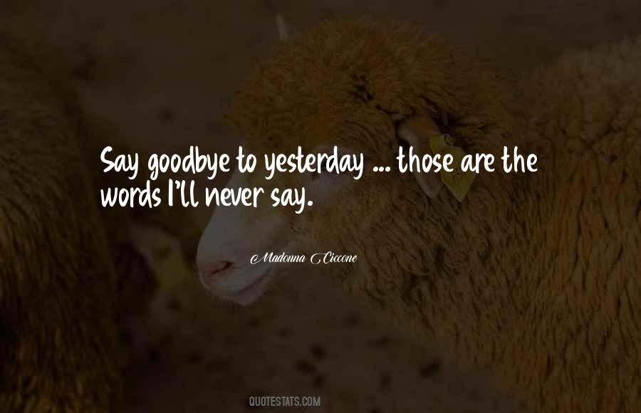 I Will Never Say Goodbye Quotes #226396