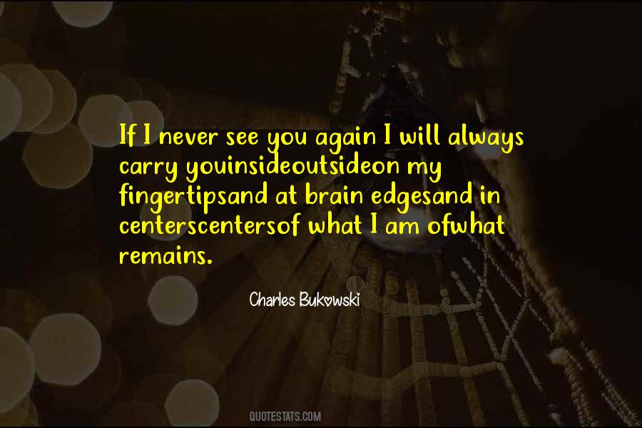 I Will Never See You Again Quotes #431273