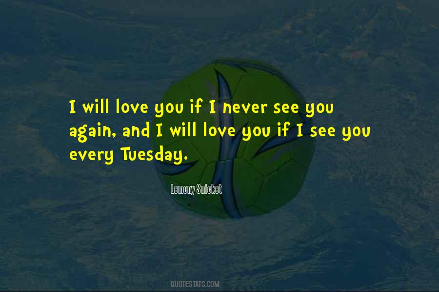 I Will Never See You Again Quotes #587405