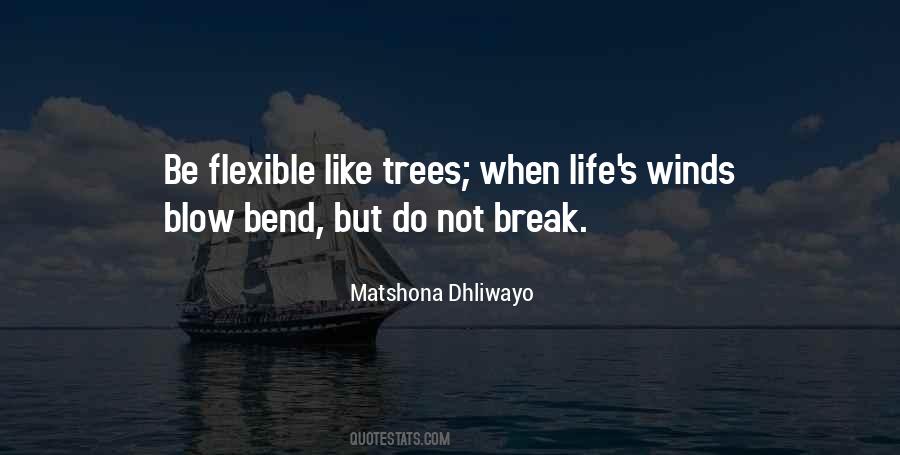 I Will Not Bend I Will Not Break Quotes #511658