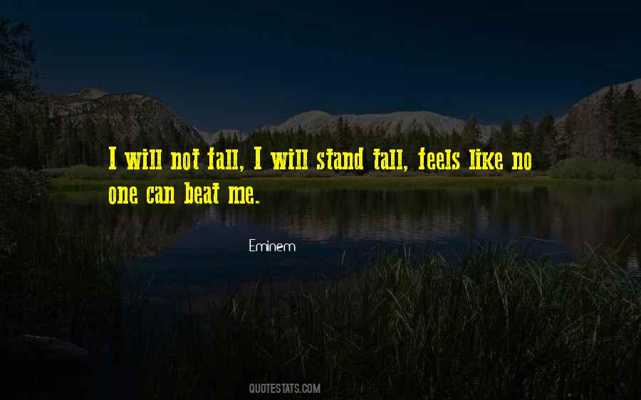 I Will Not Fall Quotes #1173299