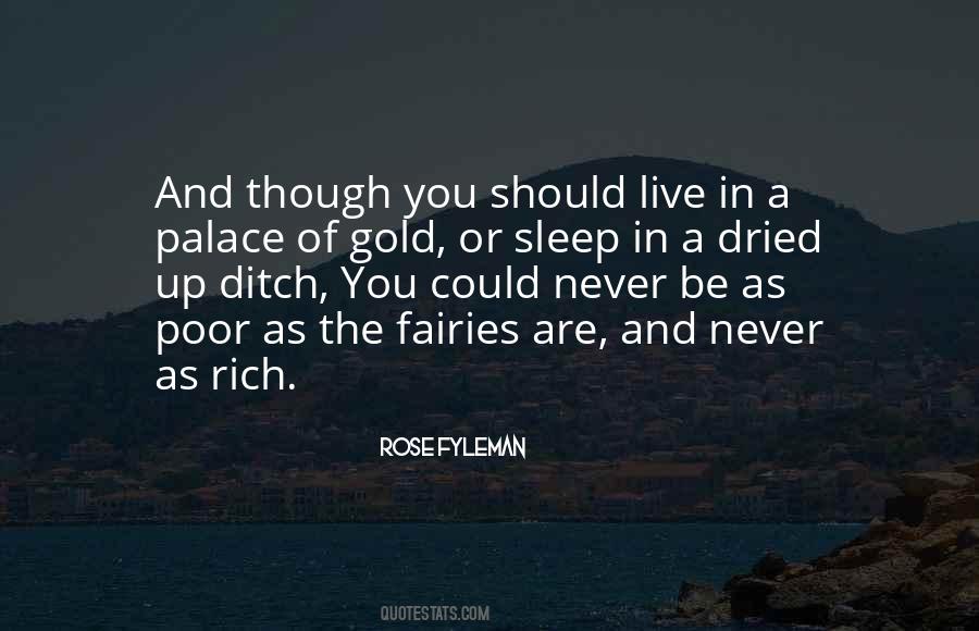 I Will Sleep When I'm Rich Quotes #1464168