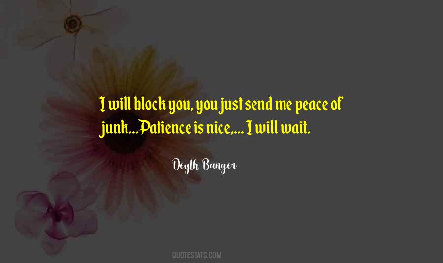 I Will Wait Quotes #532311