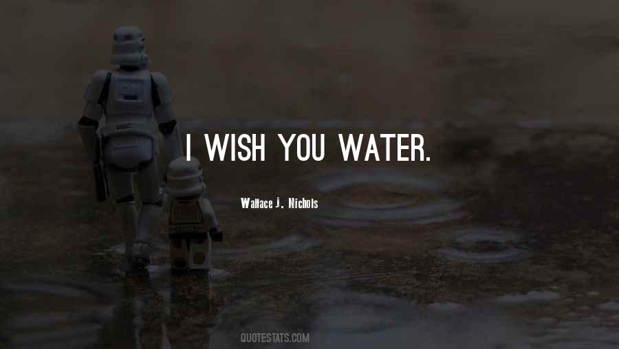 I Wish Happiness Quotes #1292470