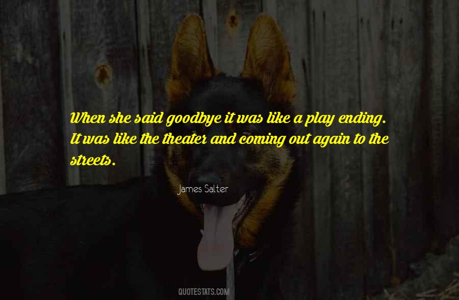 I Wish I Could Have Said Goodbye Quotes #172864