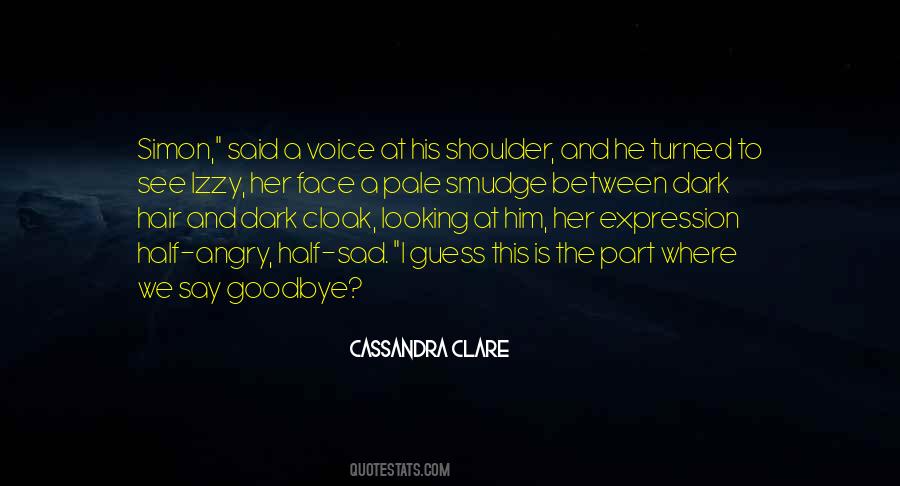 I Wish I Could Have Said Goodbye Quotes #204038