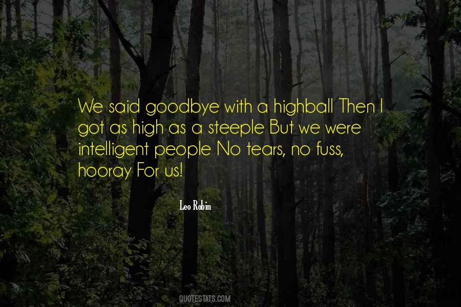 I Wish I Could Have Said Goodbye Quotes #398346