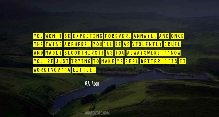 I Won't Be There Forever Quotes #128062