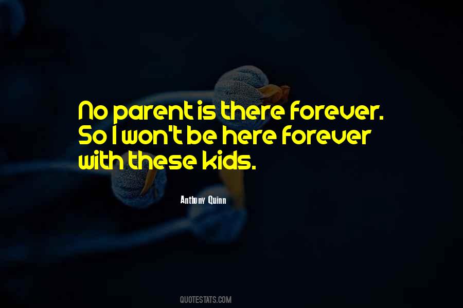 I Won't Be There Forever Quotes #1633526