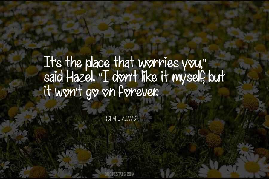 I Won't Be There Forever Quotes #43287