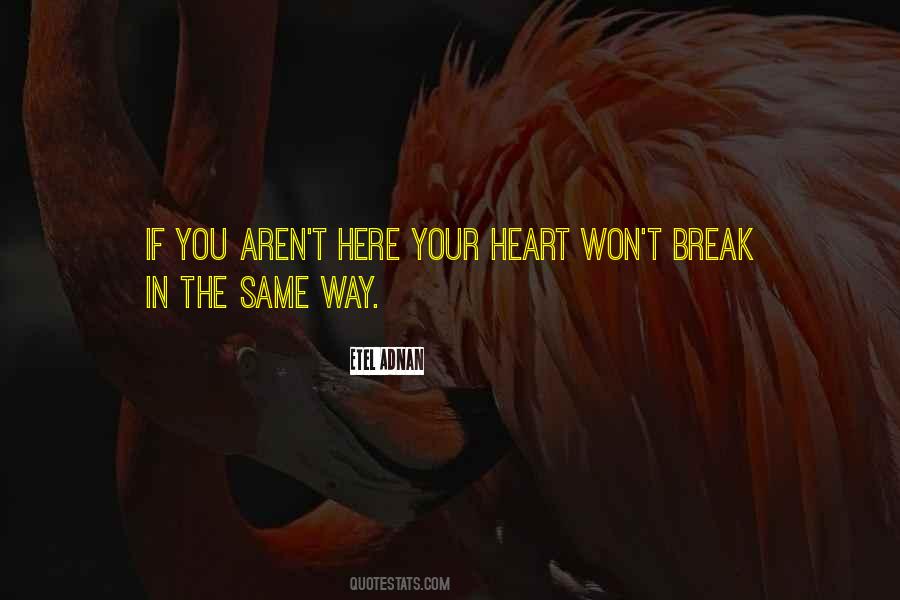 I Won't Break Your Heart Quotes #1105558