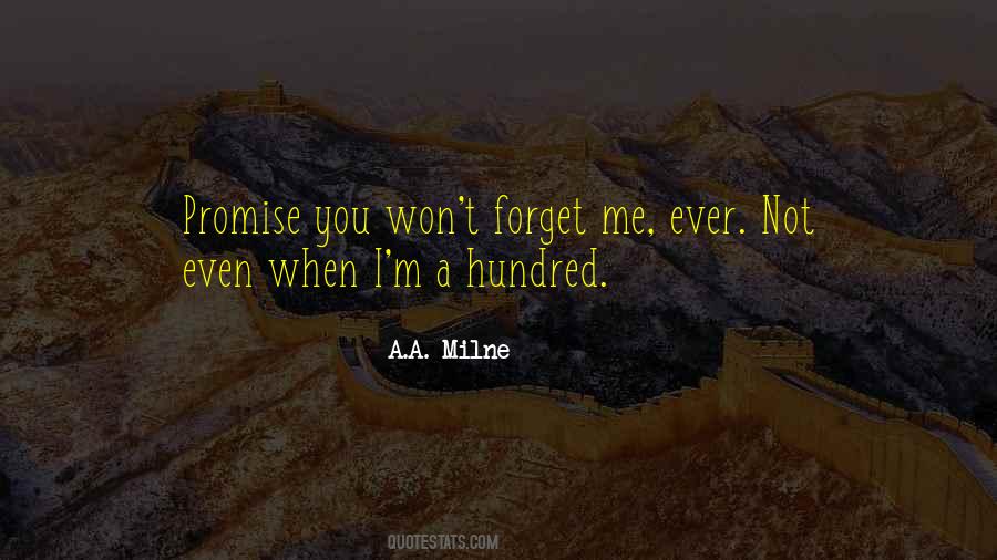 I Won't Forget You Quotes #1416895