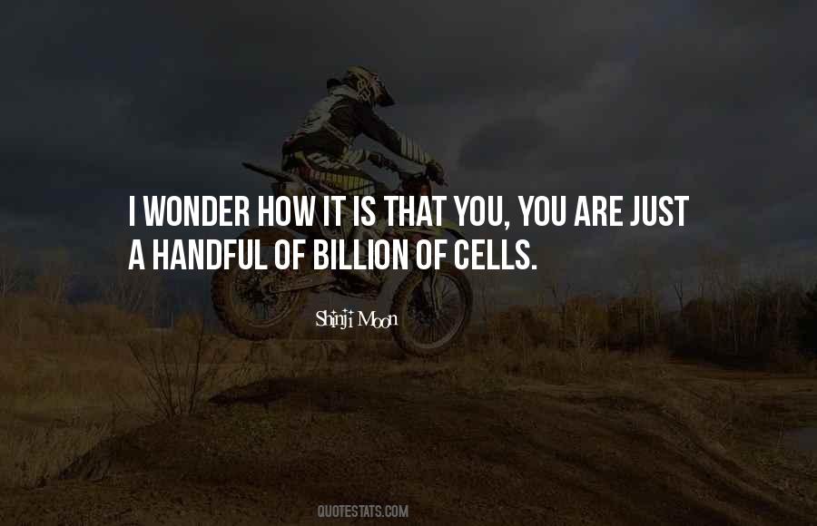 I Wonder How You Are Quotes #524989