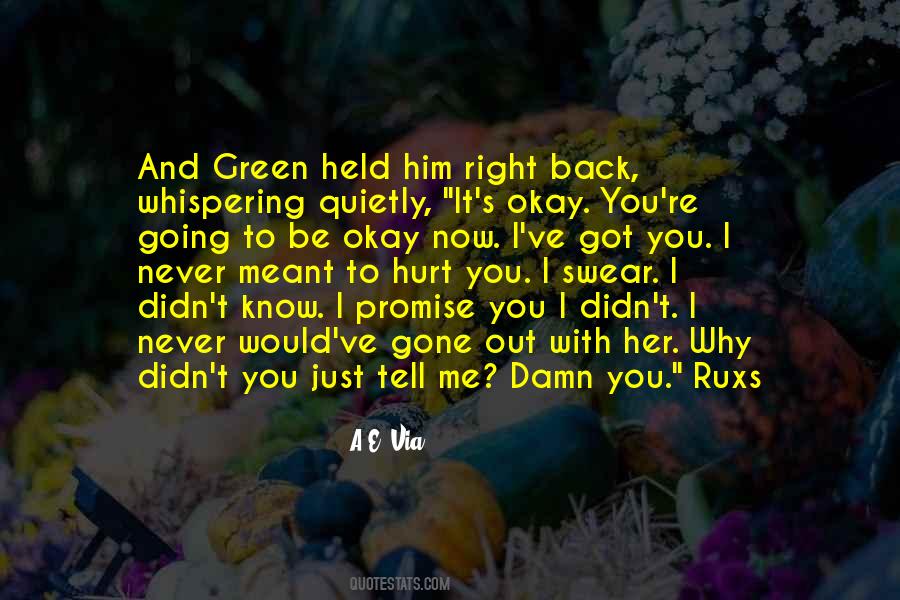 I Would Never Hurt You Quotes #1406469