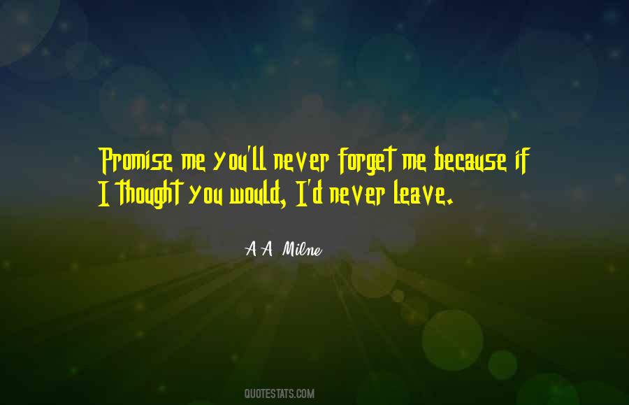 I Would Never Leave You Quotes #520816