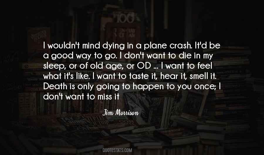 I Wouldn't Mind Dying Quotes #940145