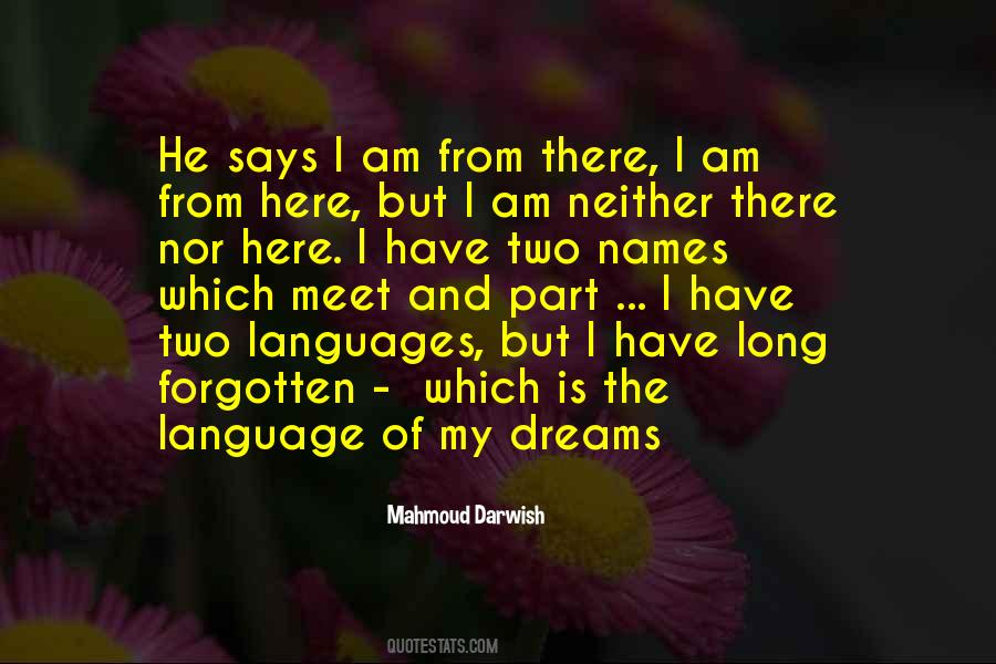 I'll Meet You In My Dreams Quotes #1113692