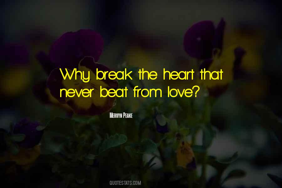 I'll Never Break Your Heart Quotes #37404