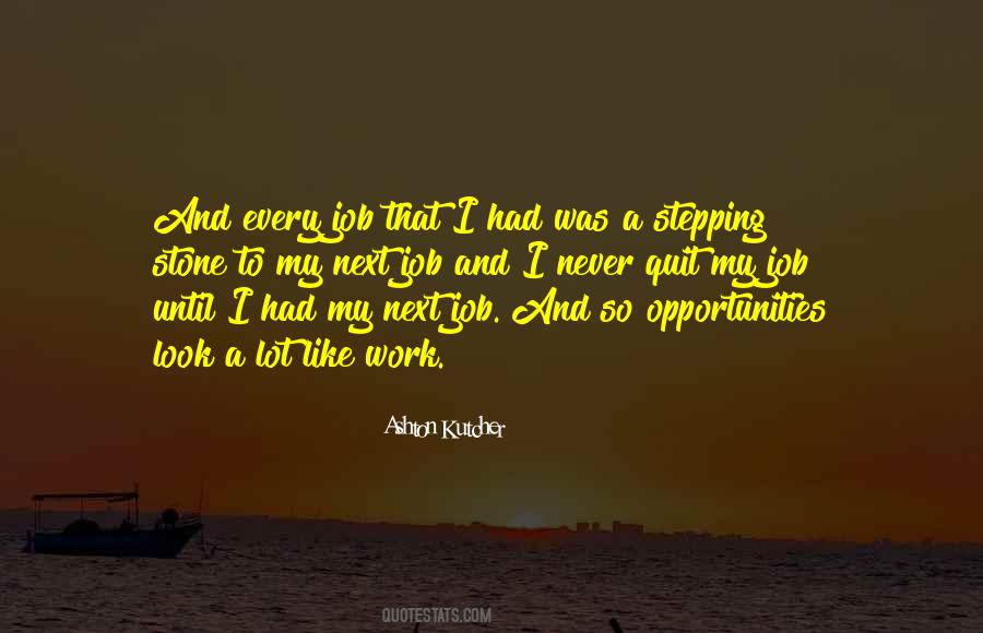I'll Never Quit Quotes #931959