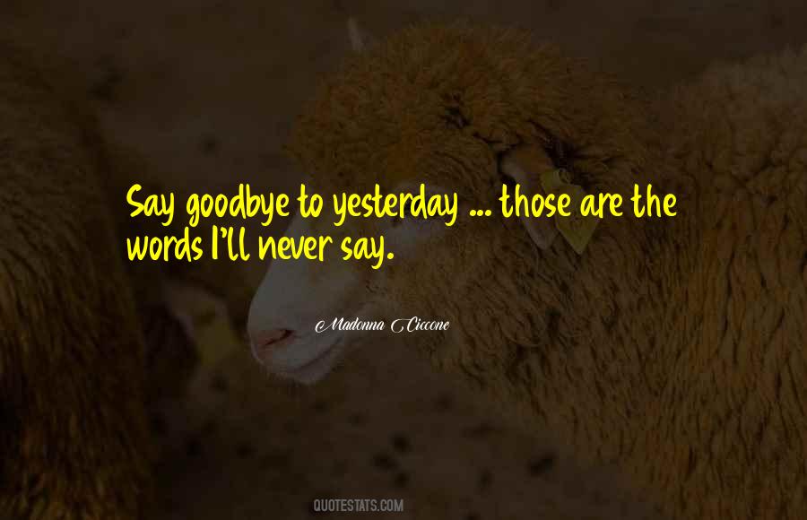 I'll Say Goodbye Quotes #226396