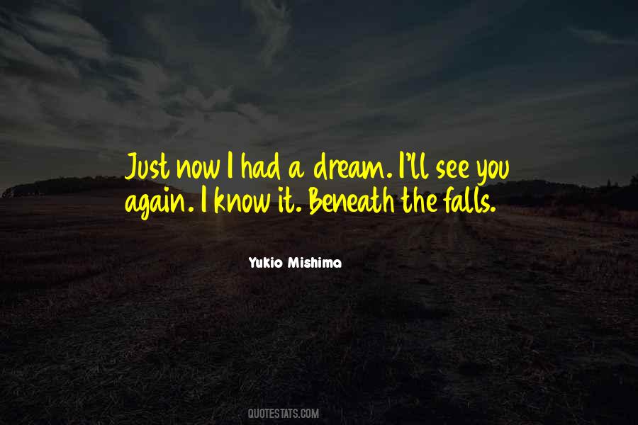 I'll See You In My Dreams Quotes #721998