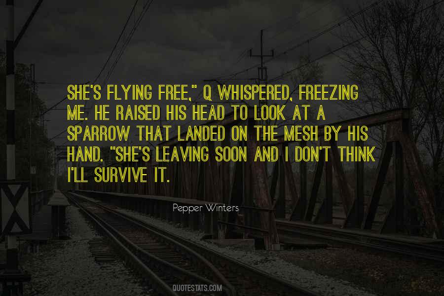 I'll Survive Quotes #795515