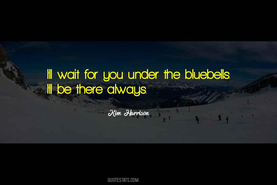 I'll Wait For You Quotes #409982