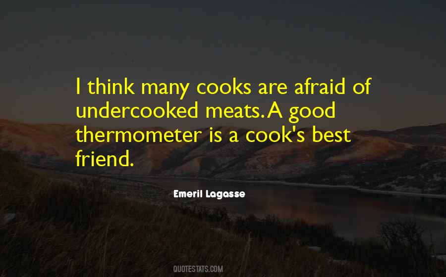 I'm A Good Cook Quotes #1442395