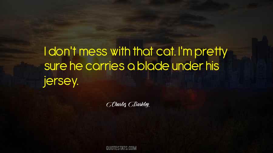 I'm A Mess Quotes #96177